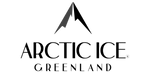 logo arctic ice